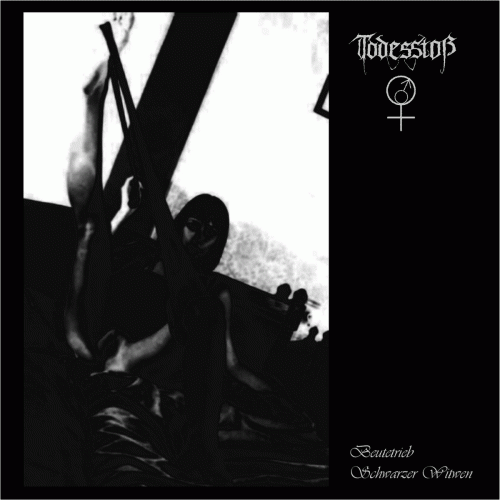 Todesstoß : Beutetrieb Schwarzer Witwen